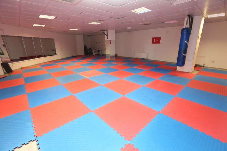 Tatami Puzzle Mat